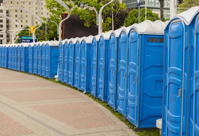 Seasonal porta potty units set up at a Henderson, North Carolina venue